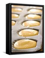 Unbaked Lemon Madeleines in the Baking Tin-Alain Caste-Framed Stretched Canvas