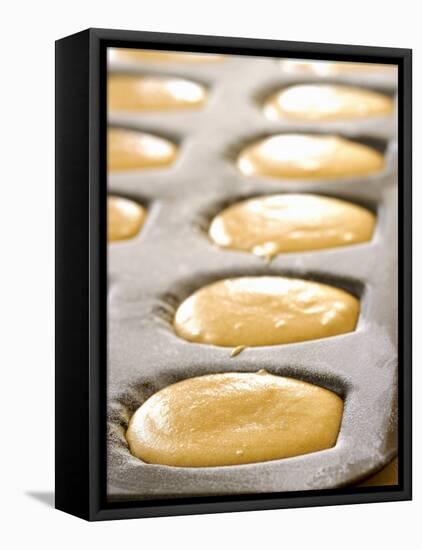 Unbaked Lemon Madeleines in the Baking Tin-Alain Caste-Framed Stretched Canvas