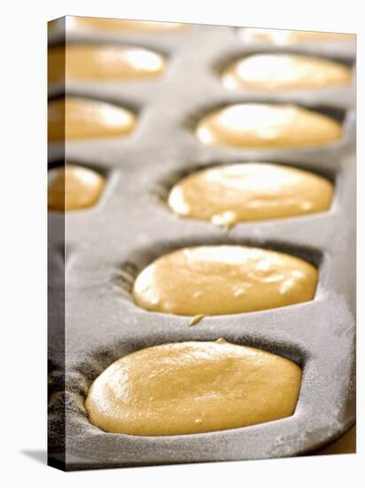 Unbaked Lemon Madeleines in the Baking Tin-Alain Caste-Stretched Canvas