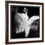 Unbidden-Gideon Ansell-Framed Premium Photographic Print