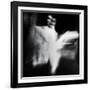 Unbidden-Gideon Ansell-Framed Photographic Print