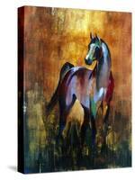 unbridled II-Annrika James-Stretched Canvas