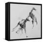 Unbroken Horses-David Studwell-Framed Stretched Canvas