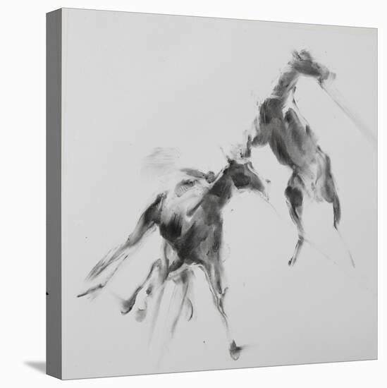 Unbroken Horses-David Studwell-Stretched Canvas