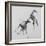 Unbroken Horses-David Studwell-Framed Giclee Print