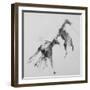 Unbroken Horses-David Studwell-Framed Giclee Print