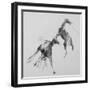 Unbroken Horses-David Studwell-Framed Giclee Print