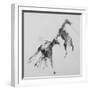 Unbroken Horses-David Studwell-Framed Giclee Print