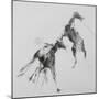 Unbroken Horses-David Studwell-Mounted Giclee Print