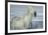 Unbroken Spirit-Valda Bailey-Framed Photographic Print