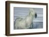 Unbroken Spirit-Valda Bailey-Framed Photographic Print