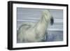 Unbroken Spirit-Valda Bailey-Framed Photographic Print