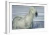 Unbroken Spirit-Valda Bailey-Framed Photographic Print