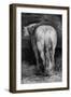 Uncertain, the Horse in the Stable-Theodore Gericault-Framed Giclee Print