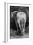 Uncertain, the Horse in the Stable-Theodore Gericault-Framed Giclee Print