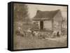 Uncle Tom's Cabin, c.1900-American School-Framed Stretched Canvas