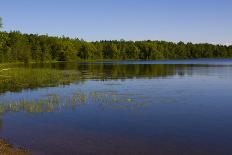 Forested Shoreline-unclealp-Laminated Photographic Print