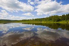 Forested Shoreline-unclealp-Laminated Photographic Print