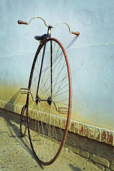 Premium Photographic Print, , large