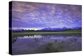 Uncompahgre National Forest at Sunrise, Colorado, USA-Charles Gurche-Stretched Canvas