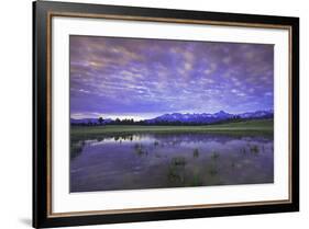 Uncompahgre National Forest at Sunrise, Colorado, USA-Charles Gurche-Framed Photographic Print