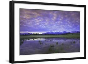 Uncompahgre National Forest at Sunrise, Colorado, USA-Charles Gurche-Framed Photographic Print