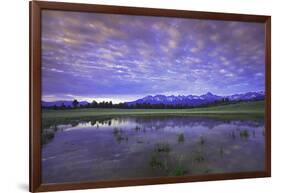 Uncompahgre National Forest at Sunrise, Colorado, USA-Charles Gurche-Framed Photographic Print