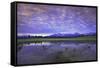 Uncompahgre National Forest at Sunrise, Colorado, USA-Charles Gurche-Framed Stretched Canvas