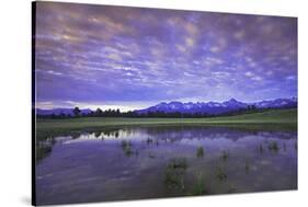 Uncompahgre National Forest at Sunrise, Colorado, USA-Charles Gurche-Stretched Canvas