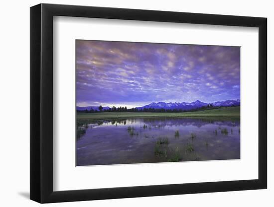 Uncompahgre National Forest at Sunrise, Colorado, USA-Charles Gurche-Framed Photographic Print