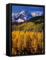 Uncompahgre National Forest CO USA-null-Framed Stretched Canvas