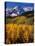 Uncompahgre National Forest CO USA-null-Stretched Canvas