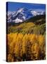 Uncompahgre National Forest CO USA-null-Stretched Canvas