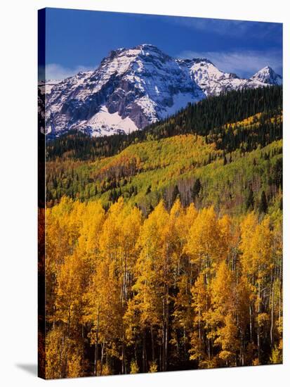 Uncompahgre National Forest CO USA-null-Stretched Canvas