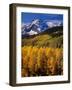 Uncompahgre National Forest CO USA-null-Framed Photographic Print