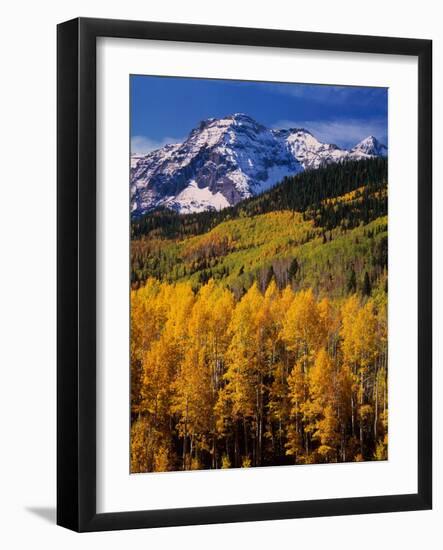 Uncompahgre National Forest CO USA-null-Framed Photographic Print