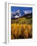 Uncompahgre National Forest CO USA-null-Framed Photographic Print