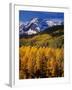 Uncompahgre National Forest CO USA-null-Framed Photographic Print