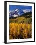 Uncompahgre National Forest CO USA-null-Framed Photographic Print