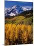 Uncompahgre National Forest CO USA-null-Mounted Photographic Print