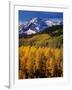 Uncompahgre National Forest CO USA-null-Framed Photographic Print