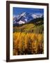 Uncompahgre National Forest CO USA-null-Framed Photographic Print