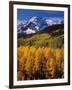 Uncompahgre National Forest CO USA-null-Framed Photographic Print