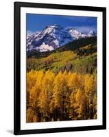 Uncompahgre National Forest CO USA-null-Framed Photographic Print