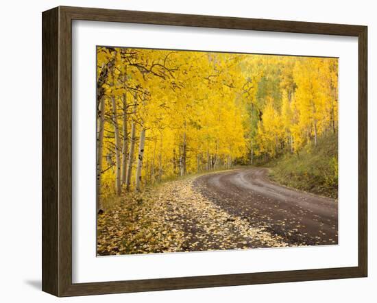 Uncompahgre National Forest, Colorado, USA-Don Grall-Framed Premium Photographic Print