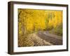 Uncompahgre National Forest, Colorado, USA-Don Grall-Framed Premium Photographic Print