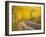 Uncompahgre National Forest, Colorado, USA-Don Grall-Framed Premium Photographic Print