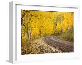 Uncompahgre National Forest, Colorado, USA-Don Grall-Framed Premium Photographic Print