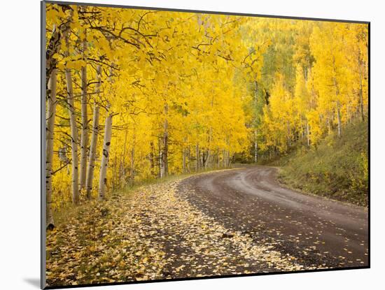 Uncompahgre National Forest, Colorado, USA-Don Grall-Mounted Premium Photographic Print