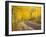 Uncompahgre National Forest, Colorado, USA-Don Grall-Framed Photographic Print